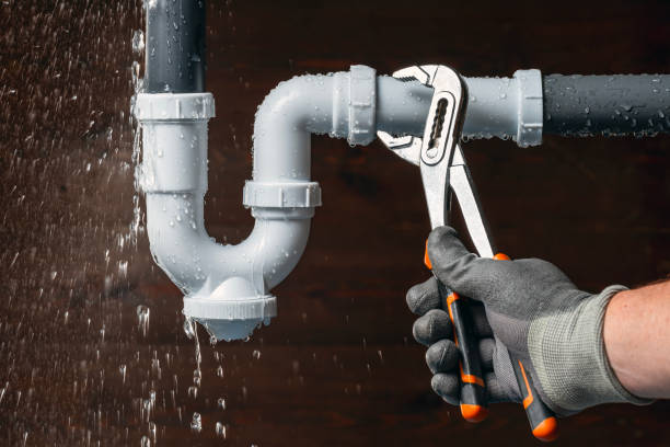 Professional Plumbing technician working in Leonard, MI